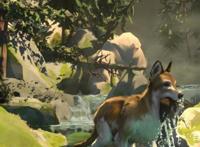 小说改编的动漫《白牙》，人类与狗的故事，你被感动到了吗？