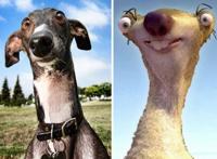 当动漫人物变成“真人”后，蜡笔小新神还原，冰雪女王太迷人！