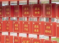 春节，一定要到东西湖这里玩噢！