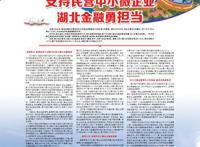 支持民营中小微企业湖北金融勇担当