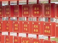 春节打卡，东西湖这些地方走起~