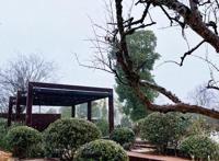 虎年新皮肤“亮”了，超萌“博”虎穿越奇遇