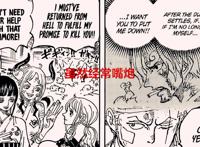 海贼王1052话：索隆和山治演绎绝美爱情，三船长的悬赏超过红发？