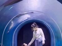 五月遛娃出游指南，真的很实用你可别不信