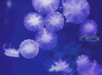 五月遛娃出游指南，真的很实用你可别不信