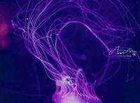 五月遛娃出游指南，真的很实用你可别不信