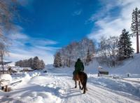 出来玩雪啦！抚远日初，吉林雾凇，这些地方够你玩上一整个冬天！