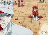 夏季番中最受欢迎cp排行，第一不是忘羡，但还是满意，实至名归！