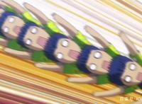 自古红蓝出CP？这些二次元俗语和“知识点”，你都知道吗？