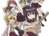 这些已经是10年前的经典动画，放眼望去都是神作