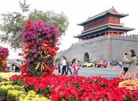 十一黄金周正定景区客流连续“爆表”！旅游总收入20.02亿元