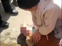 「新闻早茶」12月10日起，这4项公安交管便利措施全国推行！还有这些热点……