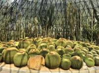 深圳亲子游必去的八个地方，介绍以下八个特色乐园，周末陪娃打卡