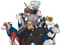 狗年大吉！盘点《火影忍者》中最有特色的三只狗