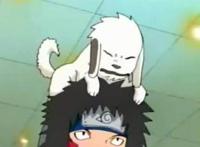 狗年大吉！盘点《火影忍者》中最有特色的三只狗