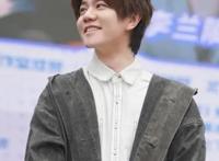 李兰陵属于什么工作室？