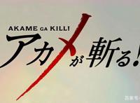 趣丸动漫：介绍点评《斩·赤红之瞳》，一部男主角都能挂的动漫！