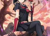 《斩！赤红之瞳》黑瞳，动漫全面屏壁纸分享