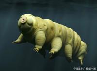 《尸兄》：看到这里，奇怪的知识又增加了“我居然看的是漫画？”