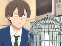 七月新番《魔术学姐》女主角很可爱，男主角活得不如一只鸽子