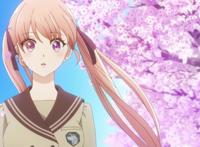 人生与爱情的大交错，《杜鹃的婚约》监督白幡良志之的访谈