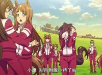 人人都是马学家，从《赛马娘》中学习趣味赛马科普吧