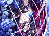 赛马娘美图合集，高清动漫壁纸