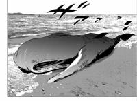 《夏日重现》最终BOSS竟是超级大渣男！白毛萝莉被哄骗几百年