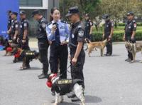 头一回！警犬退役全网直播，网友纷纷刷屏：警汪，退休愉快