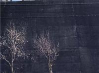 我在日本买口罩，亲历从有到无的关键两周