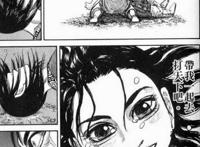 一部以中国历史为框架的动漫，在日本很火，但在中国却反响平平