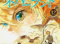 2019年日本最畅销漫画排名TOP10：一拳上榜，冠军依旧无悬念？