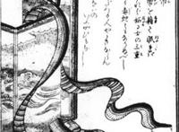 《只狼》中可爱的大白蛇可不止一刀忍杀那么简单