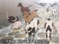 如何解构《间谍过家家》？风潮与暗礁的起伏