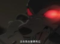 动物狂想曲：文明与野性的碰撞