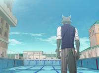 老虎和狼竟然被一头鹿训斥的灰头土脸，果然强者不一定就是强者