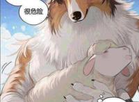 漫画：不吃羊的狼，与狗没有什么区别