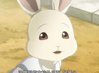 《动物狂想曲》兔婊女主？它们同为族群异类，只有强大的心才敢爱