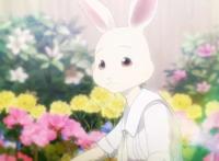 《动物狂想曲》：当你以为女主是清纯的小白兔，其实她是老司机