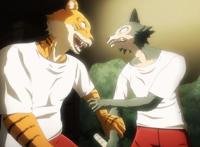 动物狂想曲第4话：兔子血成了兴奋剂，虎狼之战爆发，路易救场！