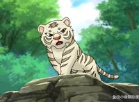 盘点国产动画中的老虎形象，你还记得几个