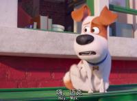 爱宠大机密2：麦克、博美、小雪球通过这3个故事进行励志，长姿势