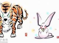 兔子和老虎，谁更胜一筹