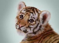 老虎和兔子在一起会怎么样？饲养员大呼简直丢尽了老虎界的脸面