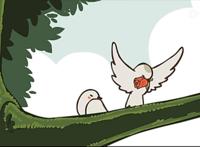 《罗小黑战记》两只鸟的爱情历程，相爱相杀到你侬我