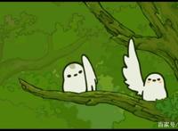 《罗小黑战记》两只鸟的爱情历程，相爱相杀到你侬我