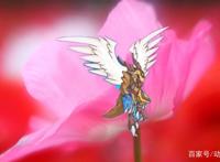 赛尔号：从笨拙小鸟进化成天使，曾经的天空霸主，而今的精灵王