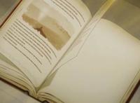 《盾之勇者成名录》第二季明年上映，看这PV水准第三季稳了