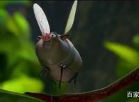 堪比《哪吒》的国产动漫，属于新一代心中大圣形象，国产良心作品