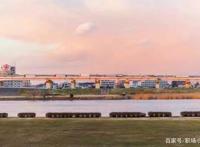 违反物理定律的动漫神操作，牛顿：原来我的地心引力对它不管用？